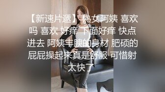 STP18033 高颜值花臂纹身嫩妹子，摸逼口交调情沙发上操抬腿侧入猛操