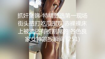 王牌飞行员与他的极品嫩模