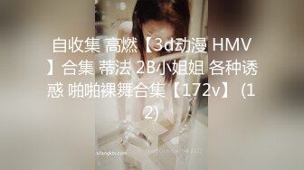 自收集 高燃【3d动漫 HMV】合集 蒂法 2B小姐姐 各种诱惑 啪啪裸舞合集【172v】 (12)