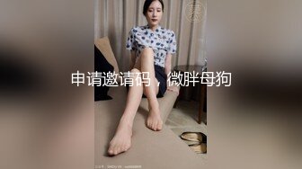 【自制字幕系列】之【壹屌寻花】（第二场）南航空姐，高跟黑丝女神，此等佳人难得一遇