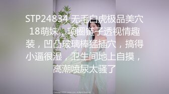 【新片速遞】  2022-11-25最新流出安防酒店近视角高清偷拍❤️非常会玩的眼镜男让女友穿着性感情趣内衣和学生短裙操逼