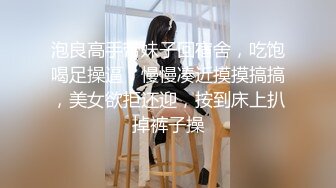 -麻豆传媒 MDWP0033 淫行KTV 赵晓涵