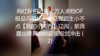 万人求档，超级精品！【最新究极核弹】绿帽大神 大魔王FQ 高价付费福利合集 (1)