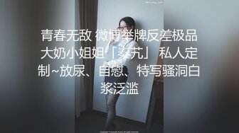 国产麻豆AV MD MD0094 贫嘴贱舌中出大嫂 坏嫂嫂和小叔偷腥内射受孕 吴梦梦