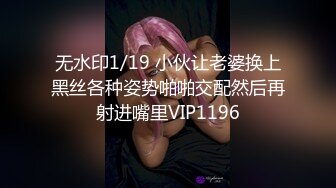 高清无水印珍藏版 高铁女神乘务员和靓丽的女乘客 (8)