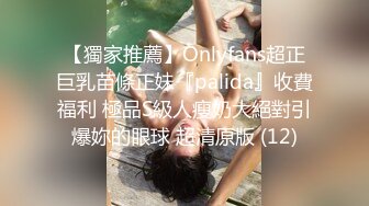 【獨家推薦】Onlyfans超正巨乳苗條正妹『palida』收費福利 極品S級人瘦奶大絕對引爆妳的眼球 超清原版 (12)