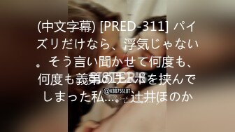 (中文字幕) [PRED-311] パイズリだけなら、浮気じゃない。そう言い聞かせて何度も、何度も義弟のチ○ポを挟んでしまった私…。 辻井ほのか